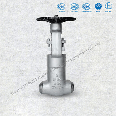 نهاية شفة صمامات بوابة الصلب المصبوب ASME B16.5 حجم 2 "إلى 36" API 6D
